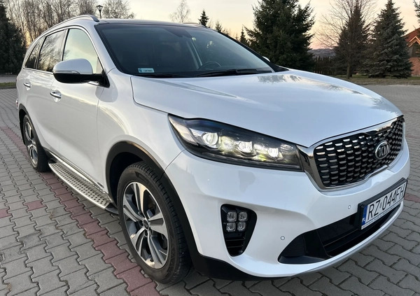 Kia Sorento cena 138000 przebieg: 49900, rok produkcji 2018 z Rzeszów małe 781